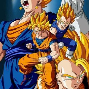 Meet your Posher, Dario